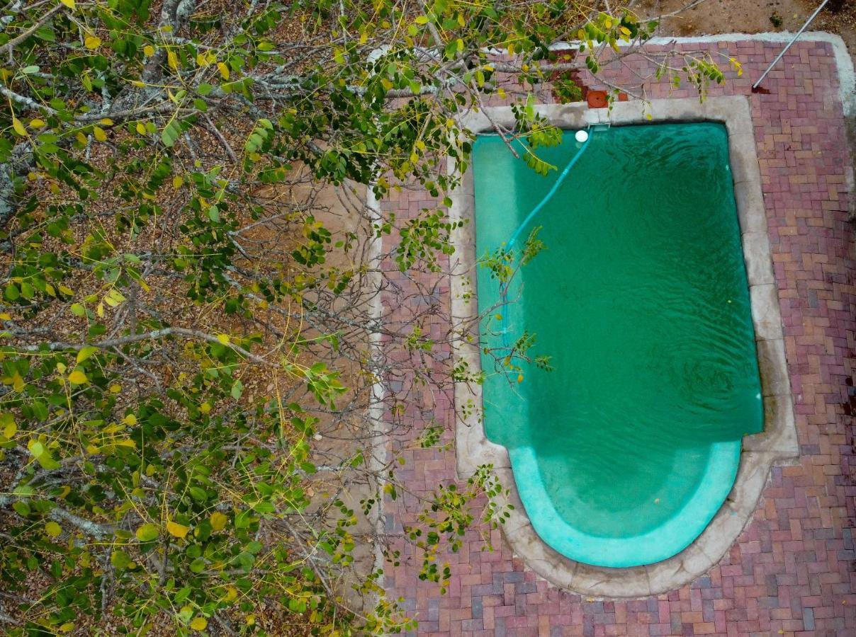 Nanisto Bush Lodge Marloth Park Εξωτερικό φωτογραφία